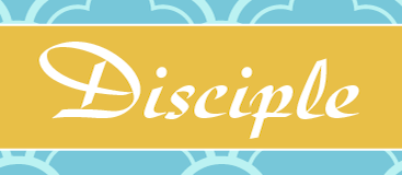 Disciple Pro